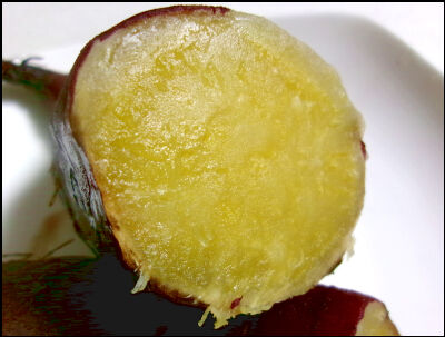 さつま芋　紅はるか　2025　２ (25)圧縮