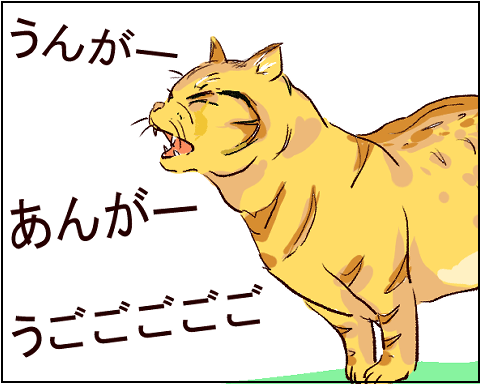 猫　１０－６