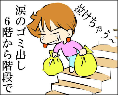 猫 79-1