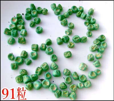 スナップ20本仕立て圧縮　16