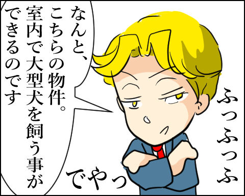 猫 99-1