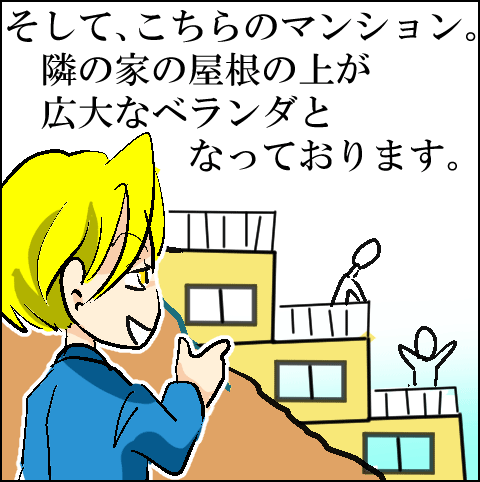 猫 73-1