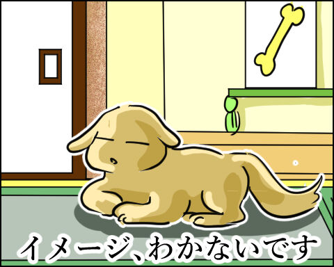 猫 99-6