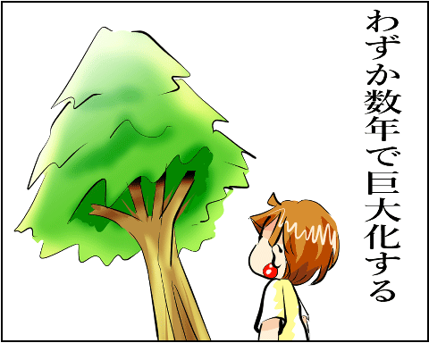 猫 38補足-3-11