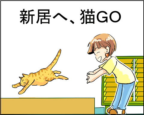 猫 27-6