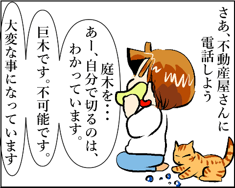 猫　３８補足-４－１