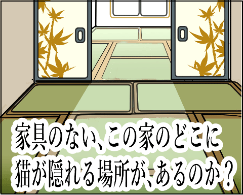 猫 44-5