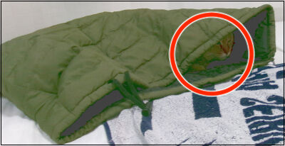 クルミーノ４ (3)