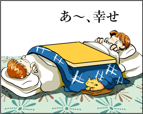 猫 42-5