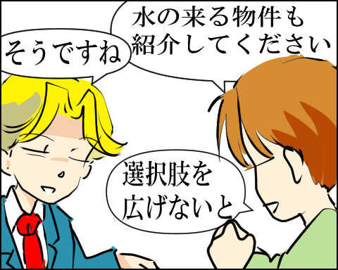 猫 88-3