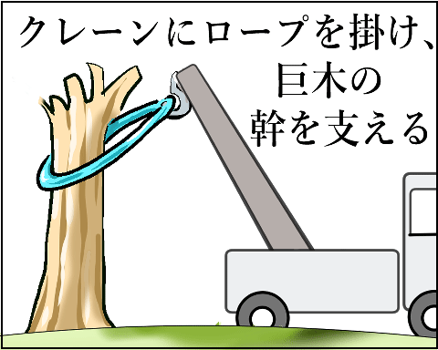 猫 38補足-9-6