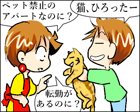 猫 65-1