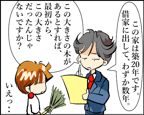 猫 38補足-4-5