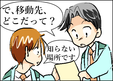 猫 66-4