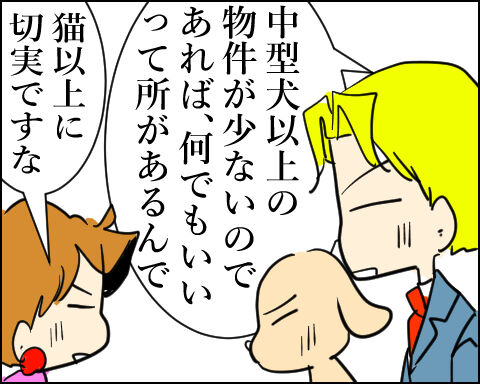 猫 99-7