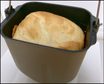 オリーブオイル　パンドミ (11)圧縮