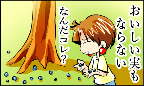 猫 38補足-2-6