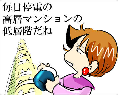 猫 79-10