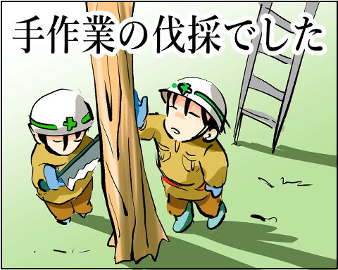 猫 36-8