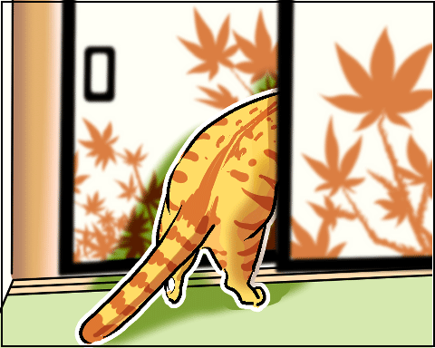 猫 58-2
