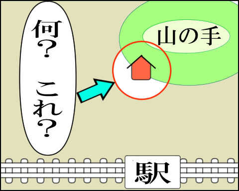 猫 88-8