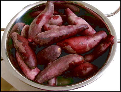 ジオ　２２ｃｍ　芋 (9)