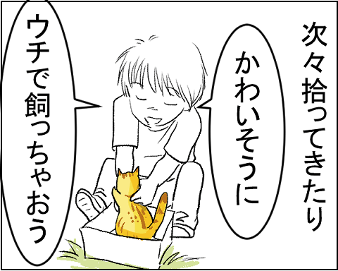 猫　１４－６