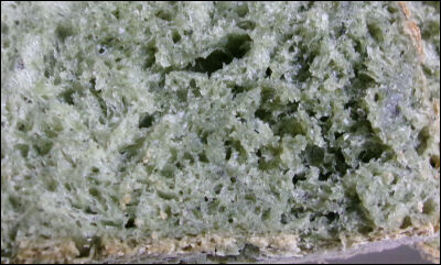 ヨモギパン　バター無し (7)圧縮