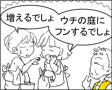 猫 15-4