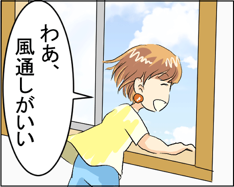 猫 24-2