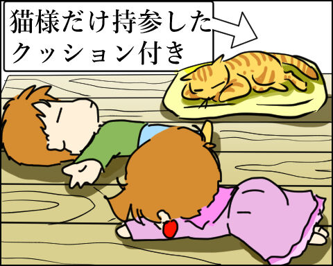 猫 113-4