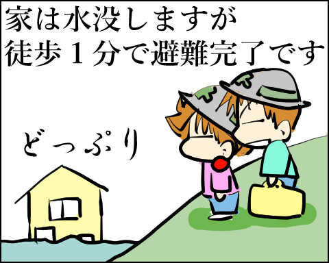 猫 90-6