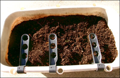 スナップ20本仕立て圧縮　14