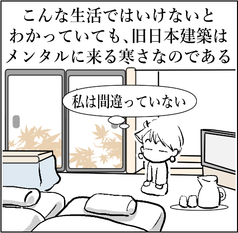 猫　４３－９