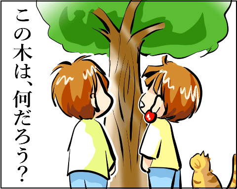 猫 38補足-1-6