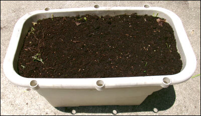 スナップ20本仕立て圧縮　13