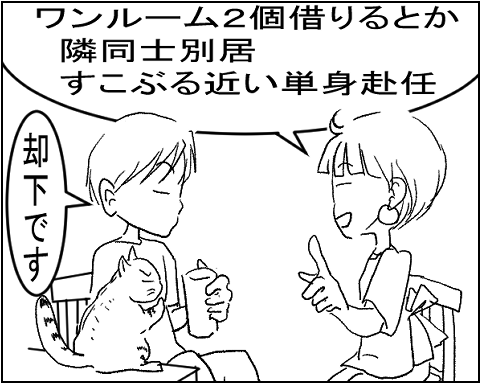 猫 17-3