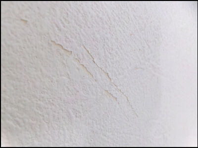 猫　１２７－3ー２