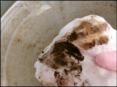 洗濯クリーナ酸素系 (120)圧縮