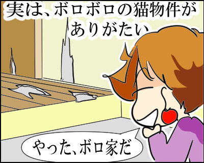 猫　１２６－11