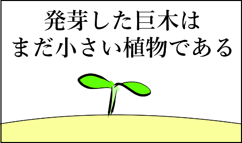 猫 38補足-3-7