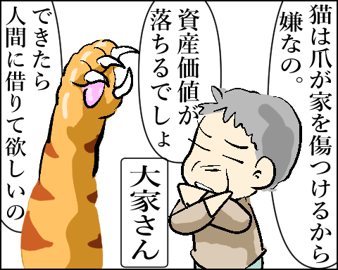 猫 65-3