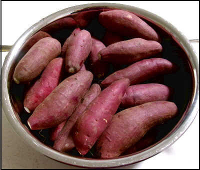 ジオ　２２ｃｍ　芋 (5)