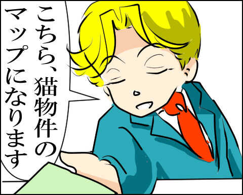 猫 88-4-2