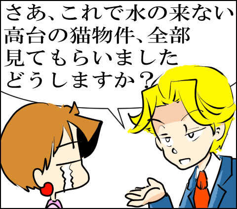 猫 88-2