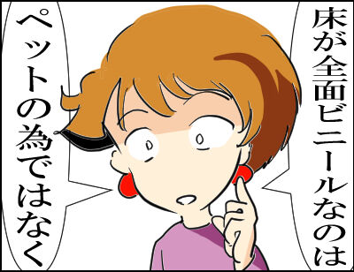 猫　１２０－6