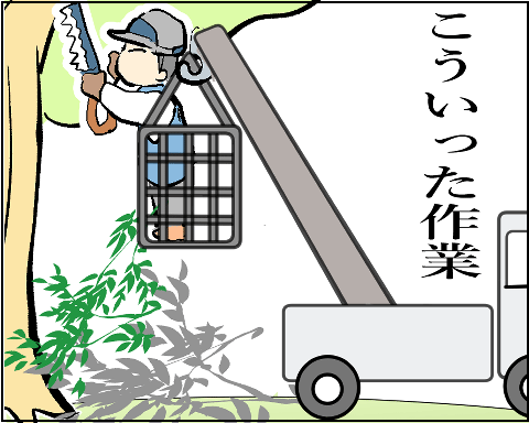 猫 38補足-9-2