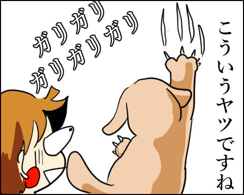 猫 99-5