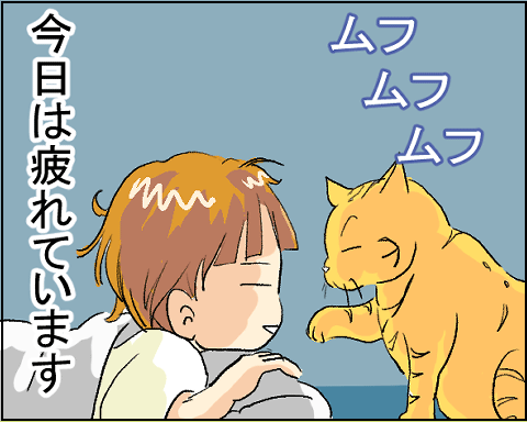 猫　１８－８