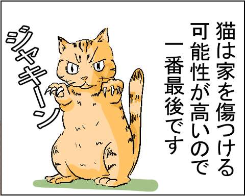 猫　５－４